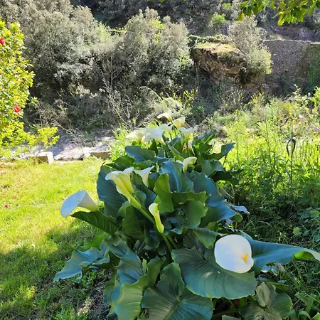 Nyaraló La Maison D'a Cote L'Estréchure